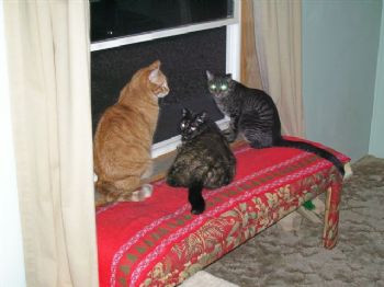 KPugly profile photo