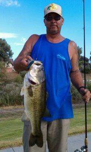 gfeivelson profile photo