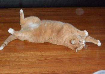 Tiffroomy profile photo