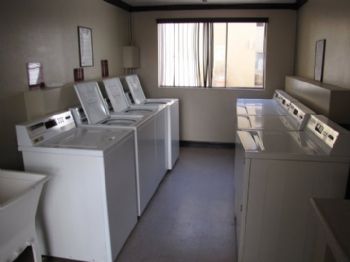 Disney1234 profile photo