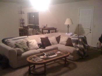 shess517 profile photo