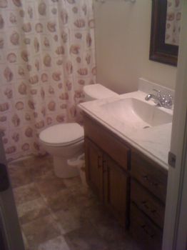 shess517 profile photo