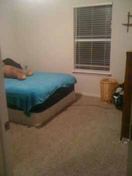 shess517 profile photo