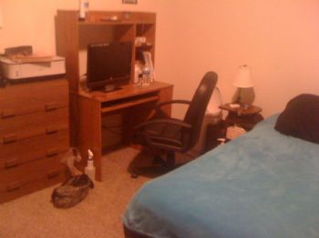 shess517 profile photo