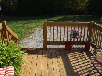 bellyrub profile photo