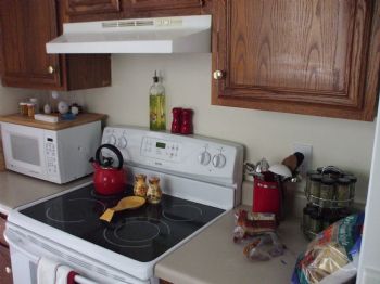 bellyrub profile photo