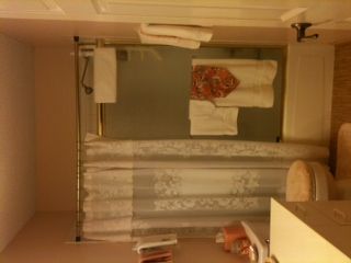 CSiren profile photo