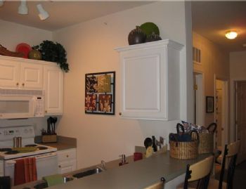 DRichter profile photo