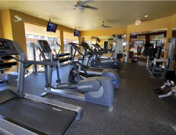 DRichter profile photo