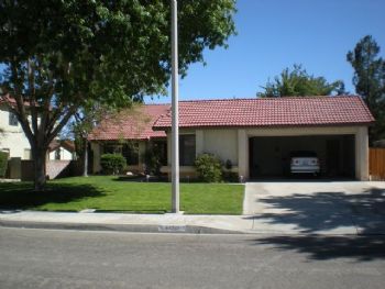 whsrkd profile photo