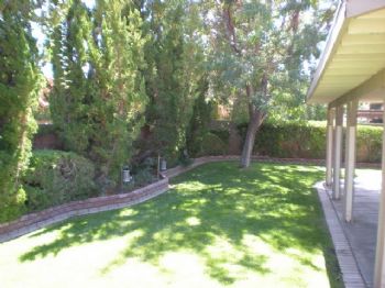 whsrkd profile photo