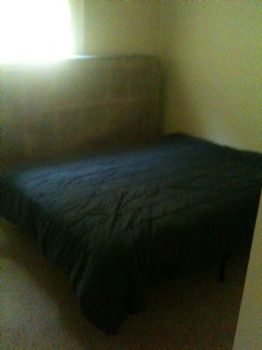 shanebb profile photo