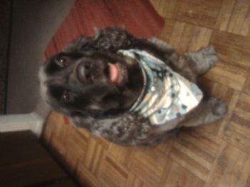 Dawne214 profile photo