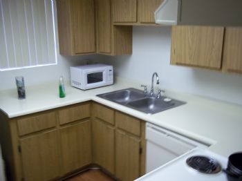 cshelton85 profile photo