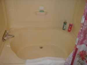 freebirdt69e profile photo