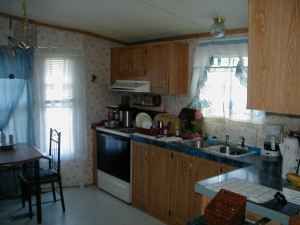 freebirdt69e profile photo