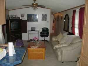 freebirdt69e profile photo