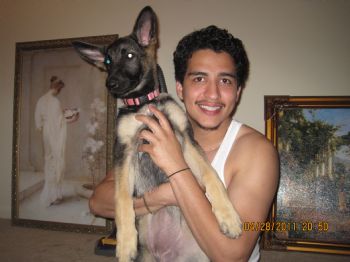 faisalpaigir profile photo