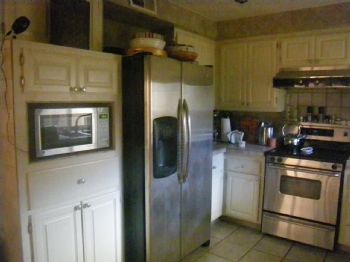 mintbird profile photo