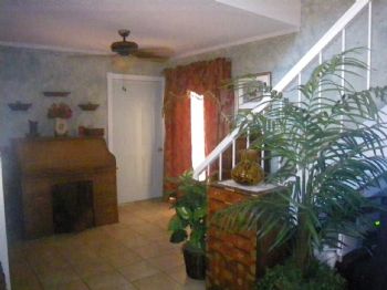 mintbird profile photo