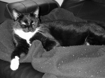 jyoakum profile photo