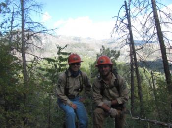 calparri profile photo