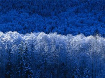 Kevin820 profile photo