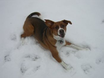 AngelusKing profile photo