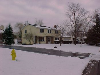 wharbison profile photo