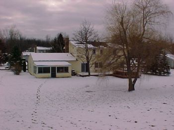 wharbison profile photo