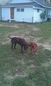 ash112 profile photo