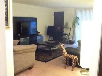 catsylu12 profile photo