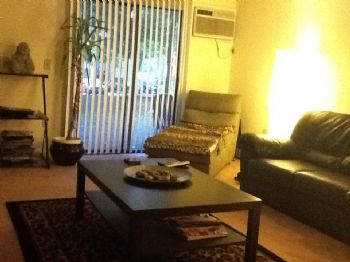 catsylu12 profile photo