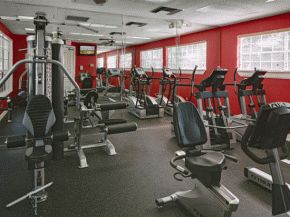 jrocca7 profile photo