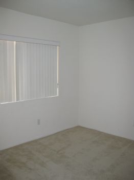 SINGLEMISS profile photo