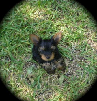 tabbycat4477 profile photo