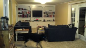 eblood profile photo