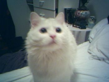 leener123 profile photo