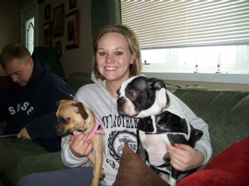 gvisser profile photo