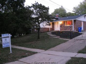 dougfu profile photo