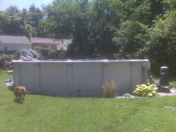 sassyshon profile photo