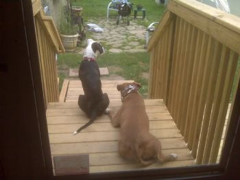 sassyshon profile photo