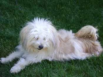 marta63 profile photo