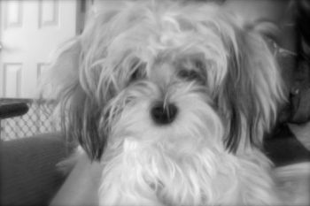 marta63 profile photo