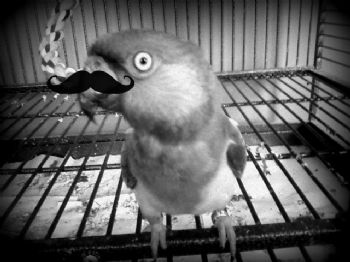 Bmichalak193 profile photo