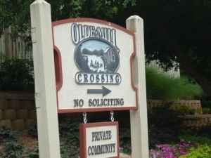 arwicklein profile photo