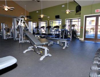 rhilldhill profile photo