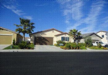 dehharis123 profile photo