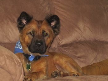 catejohn profile photo