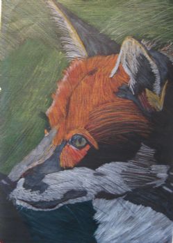 blm4521 profile photo